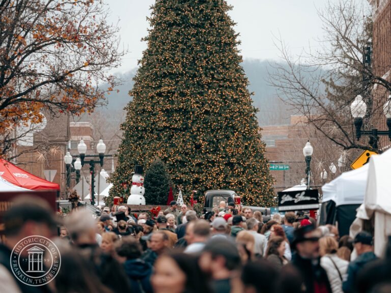 408472185 743871151113955 4855431604975776101 n 768x576