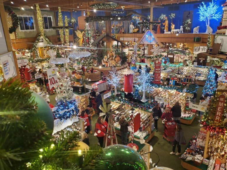 406390859 724603993049117 8347898437121553226 n 768x576