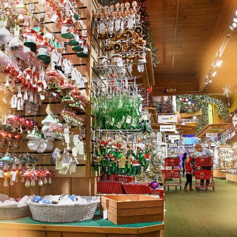 417570369 744494984393351 8493463402499572687 n 768x768