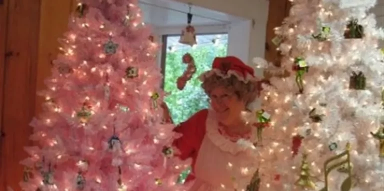 rsw 1240h 620cg true 1 768x383