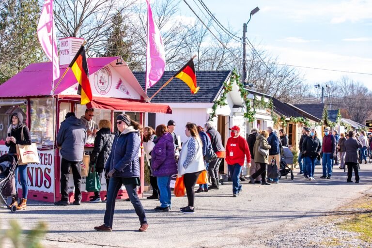 310592878 434395005474954 6676947117700388542 n 768x512