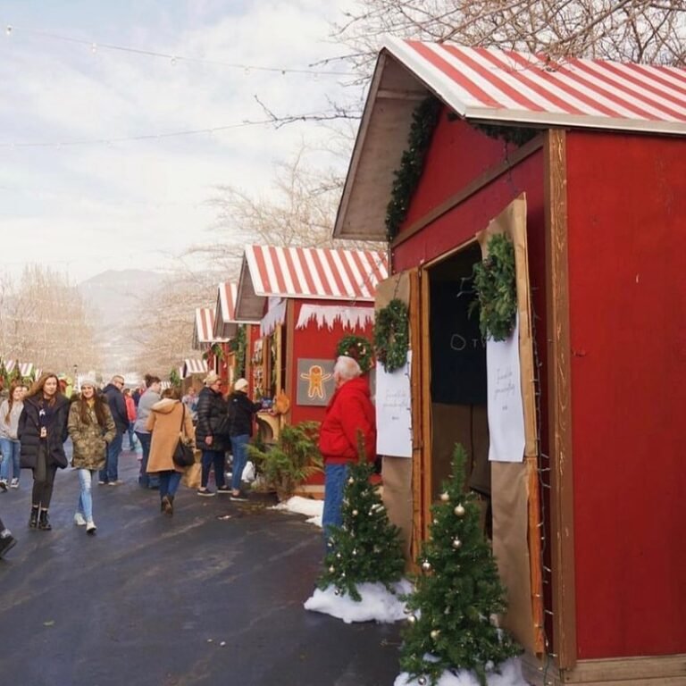 315989337 5608616972506609 3734433233662141408 n 768x768