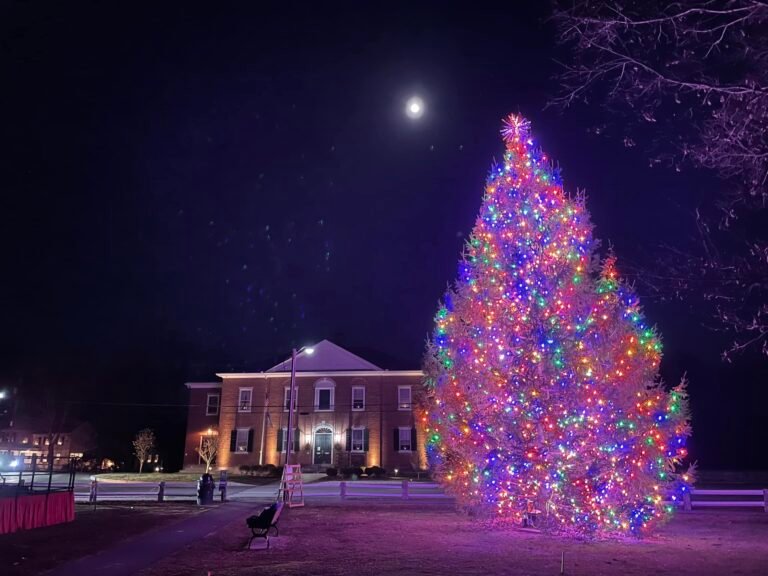 319361624 1018323622893037 3930664689362021120 n 768x576