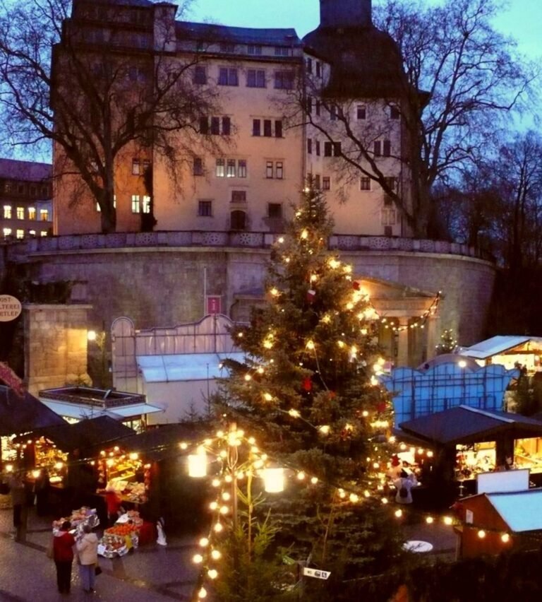 456142436 2736165189885199 8833201438769417932 n 768x852