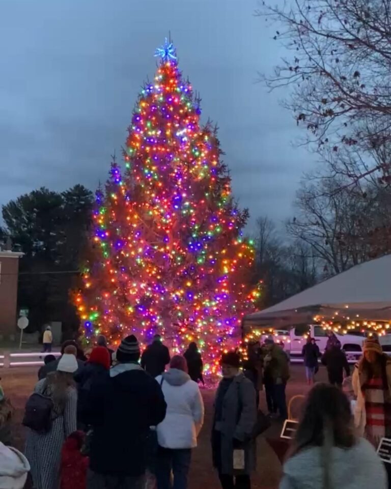 462698041 546630628019522 791097541447351632 n 768x961